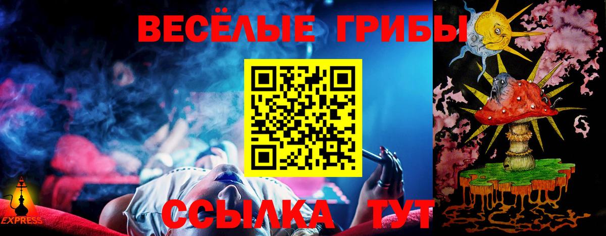 Галлюциногенные грибы Psilocybe Великие Луки