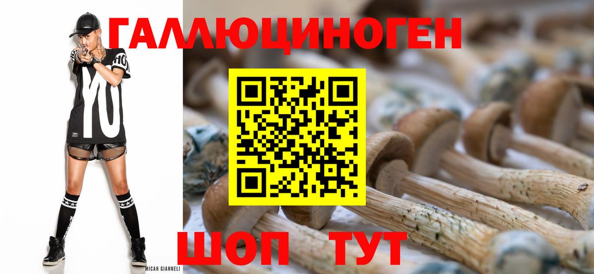 Великие Луки  Псилоцибиновые грибы Cubensis  Вход с VPN 